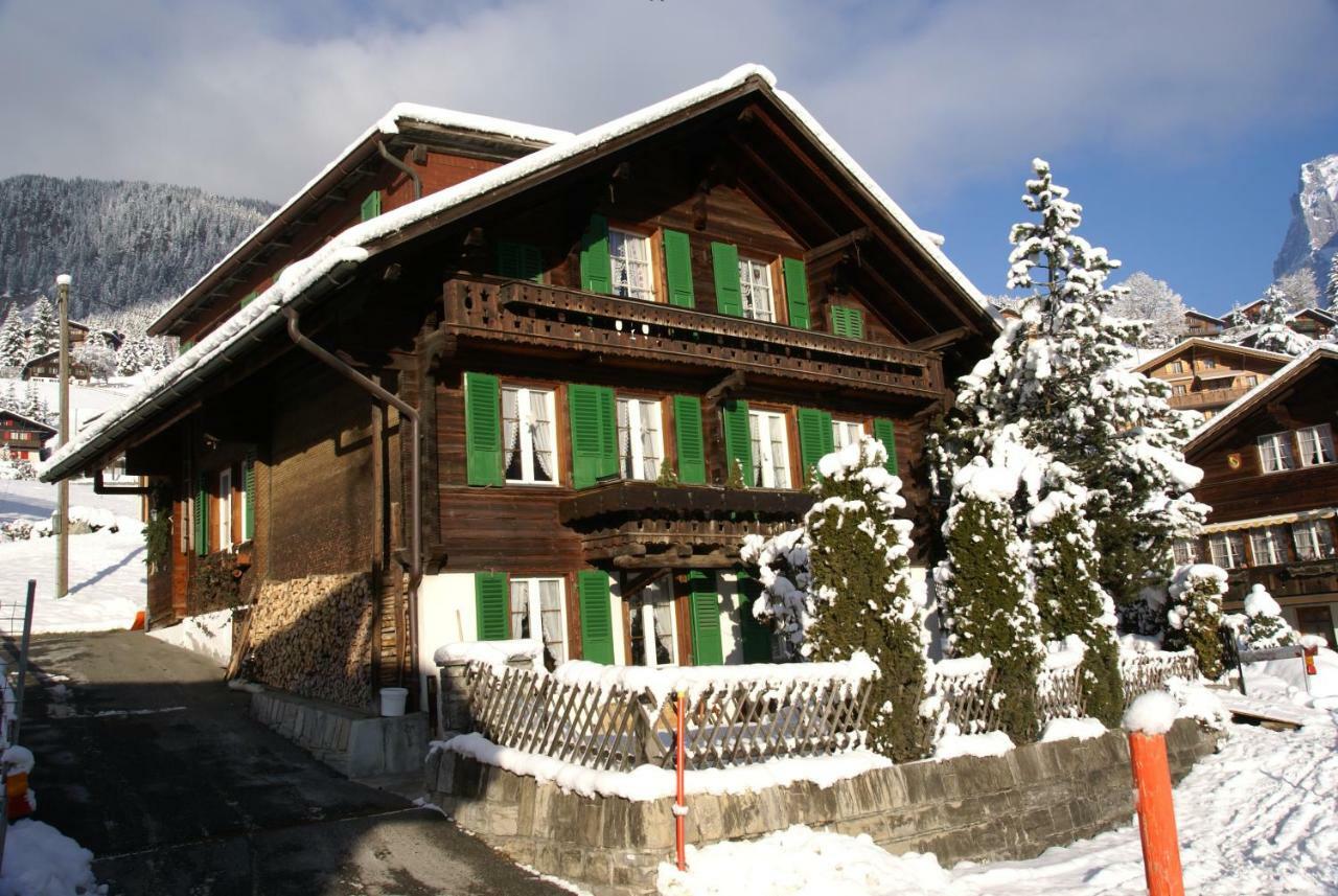 Fluehbluemli Apartment Grindelwald Luaran gambar